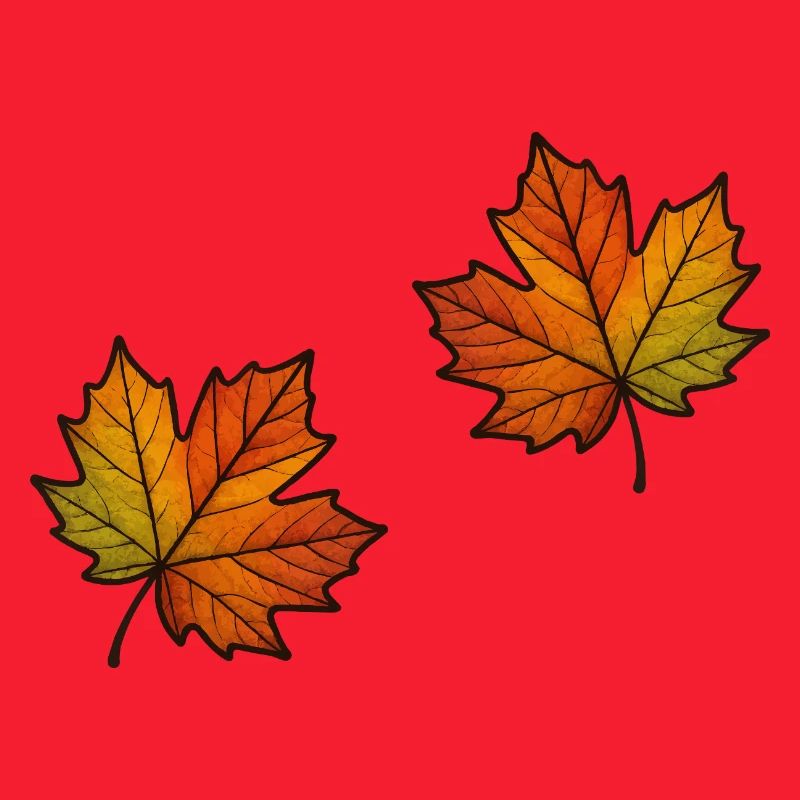 Leaf Autumn Maple Leaf 2