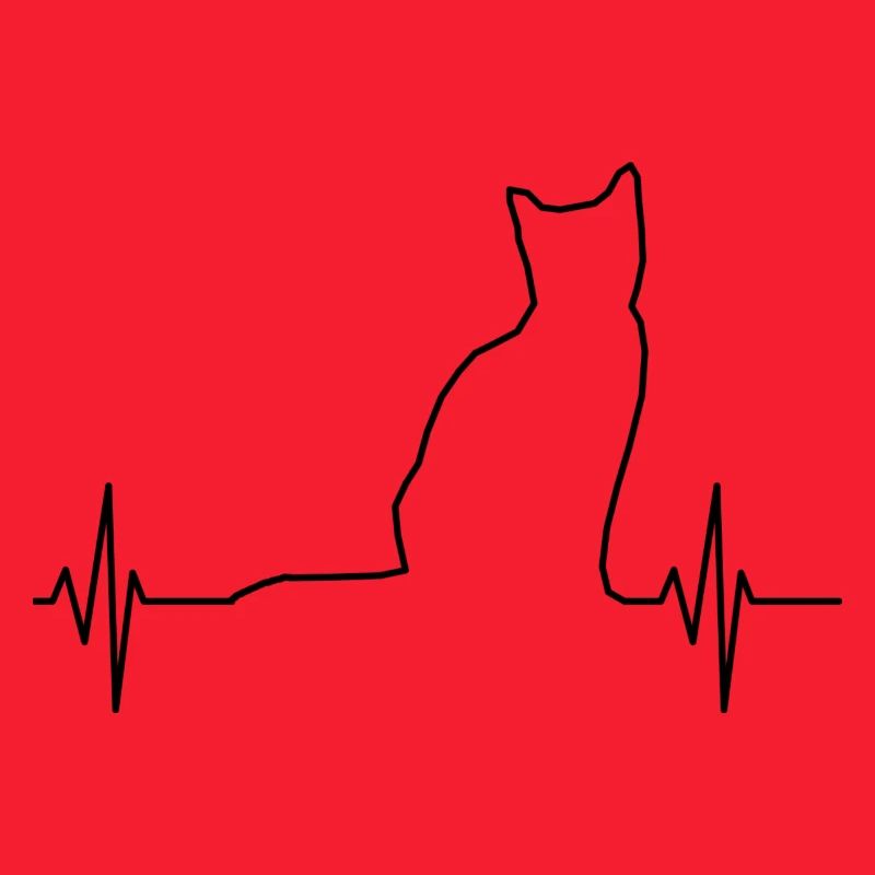 ECG Chat Noir