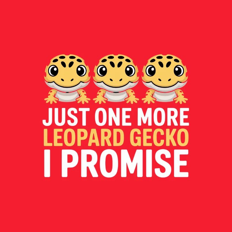 Leopardgecko-Trio, das verspreche ich