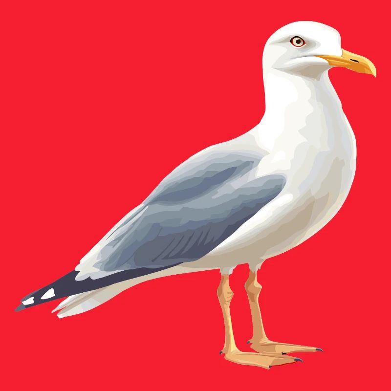Coastal Clouds Seagull