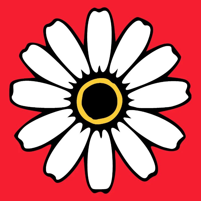 Fleurs blanches Fleurs blanches Fleurs blanches Fleurs sauvages Herbes
