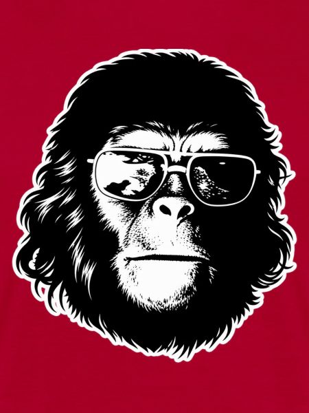 Cool Chimp