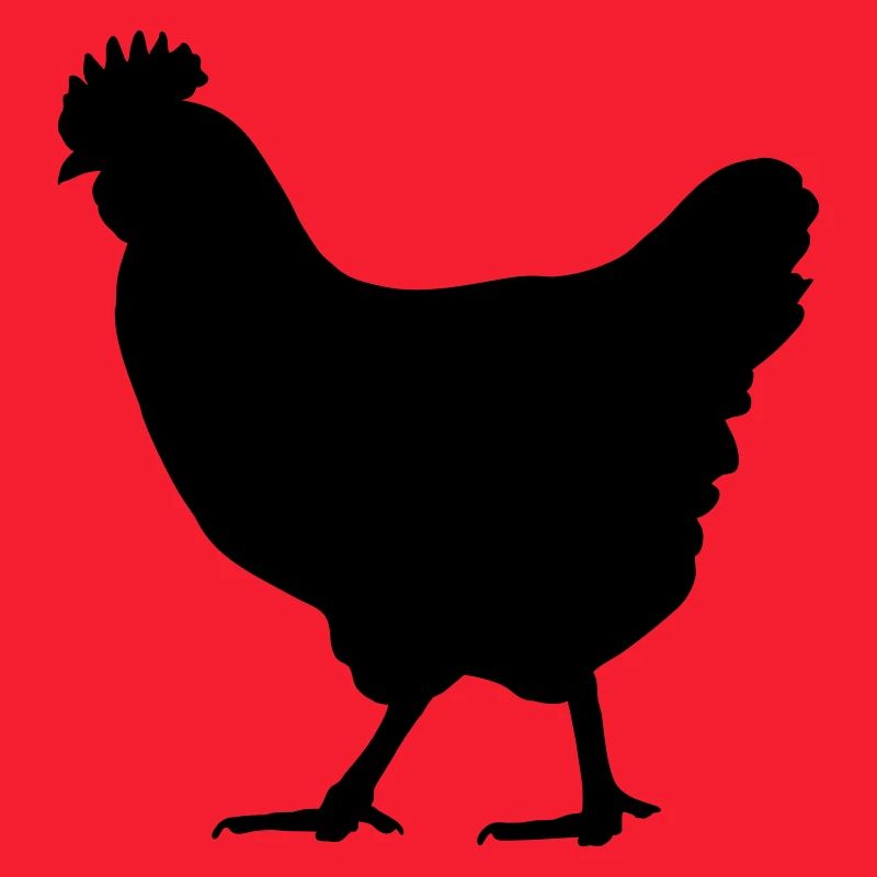 Huhn 1 Farbe