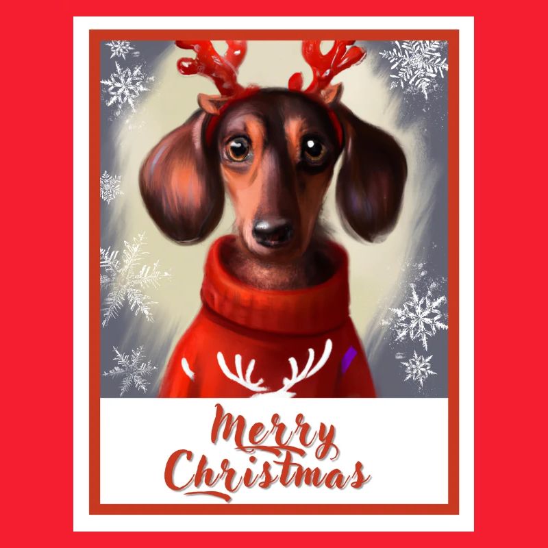 Doux chien heureux teckel dans un pull de Noël.