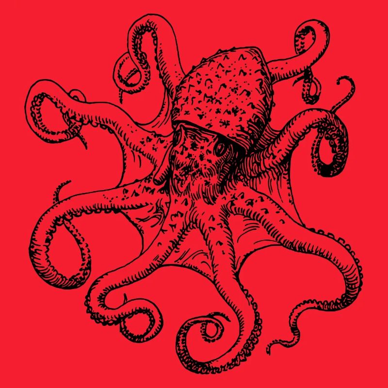 squid giant octopus octopus octopus squid sepia fish