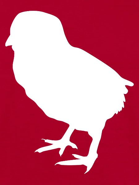 chick