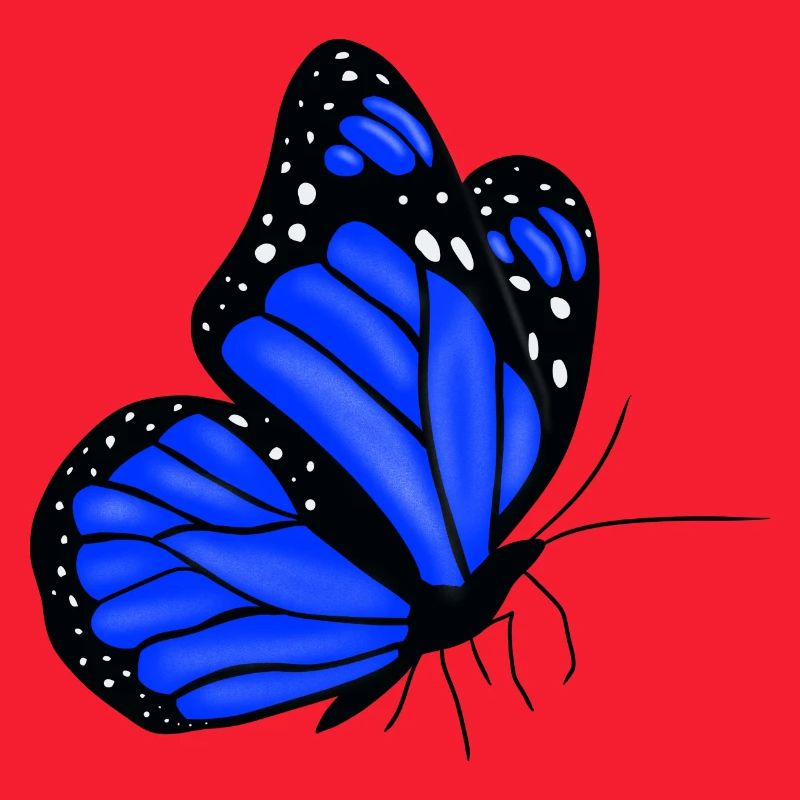 Papillon