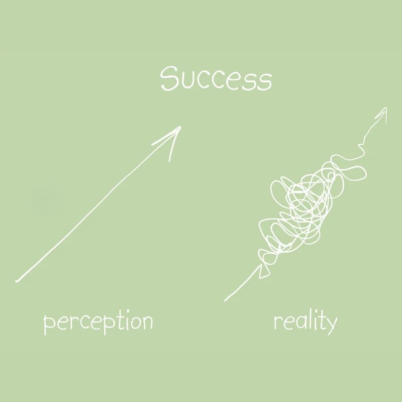 Success Perception v Reality