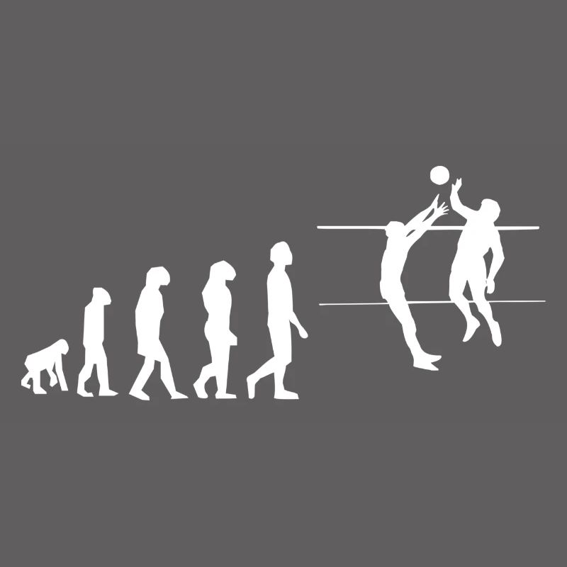 Volley évolution