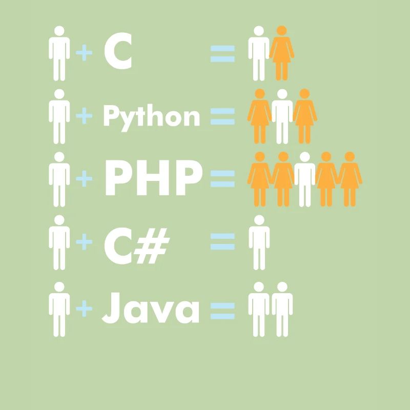 Codage du programmeur Java C Python Php