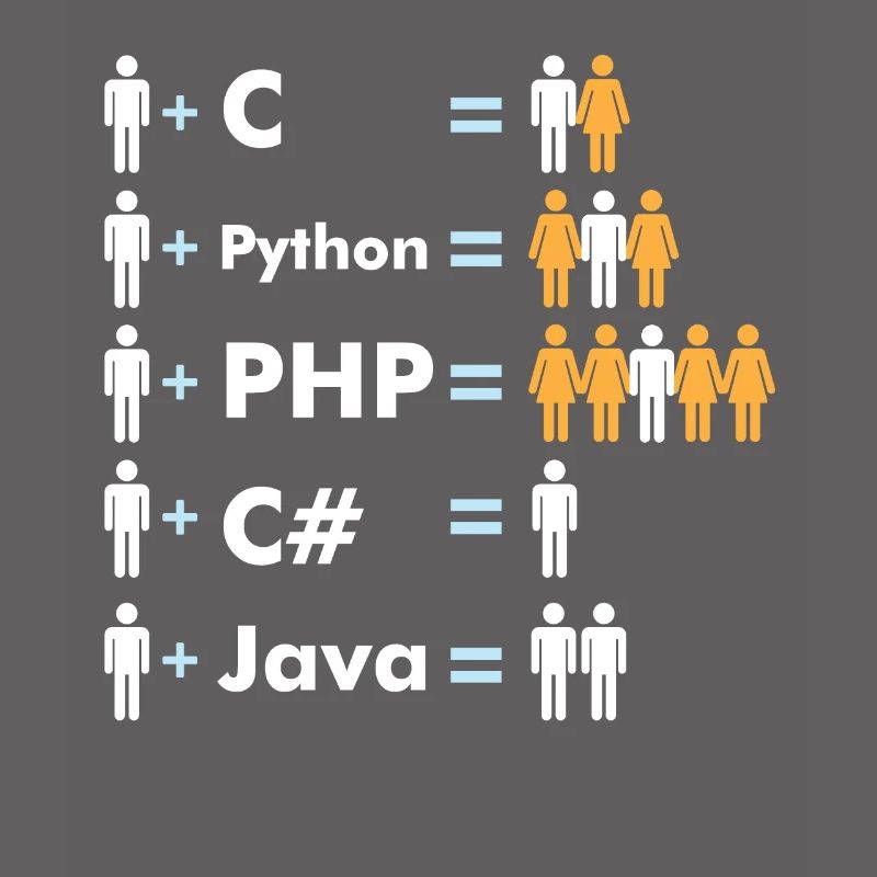 C Python Php Java Programmer Coding