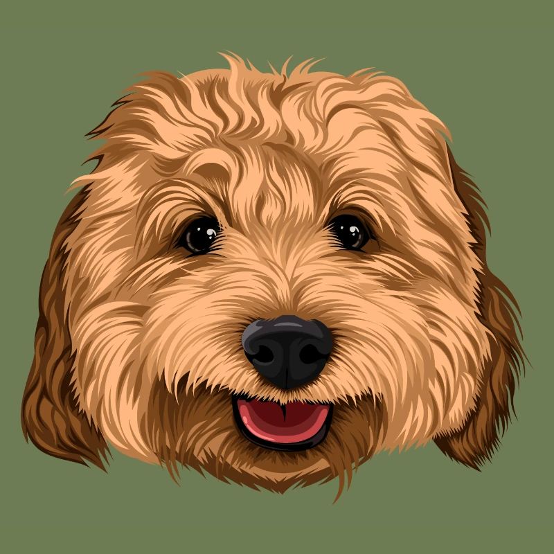 Glücklicher Cockapoo