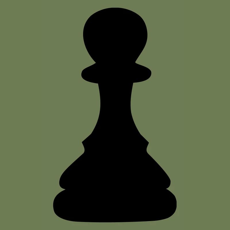 schach bauer
