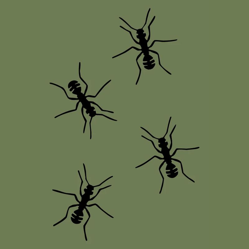 antz,insects