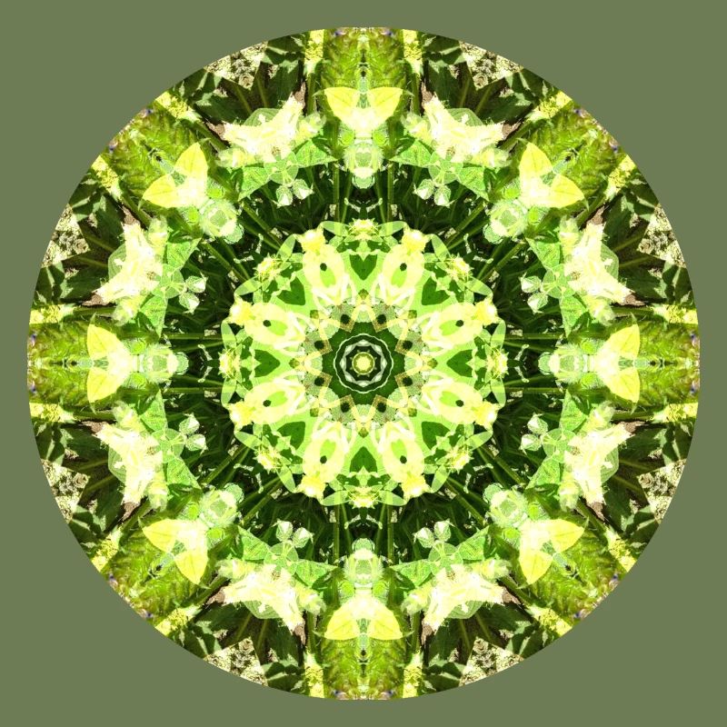 Mandala-Quantum 13