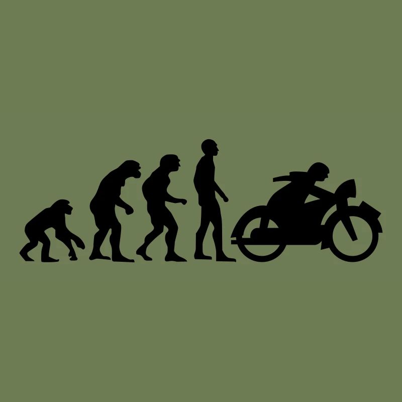 motor evolutio 1