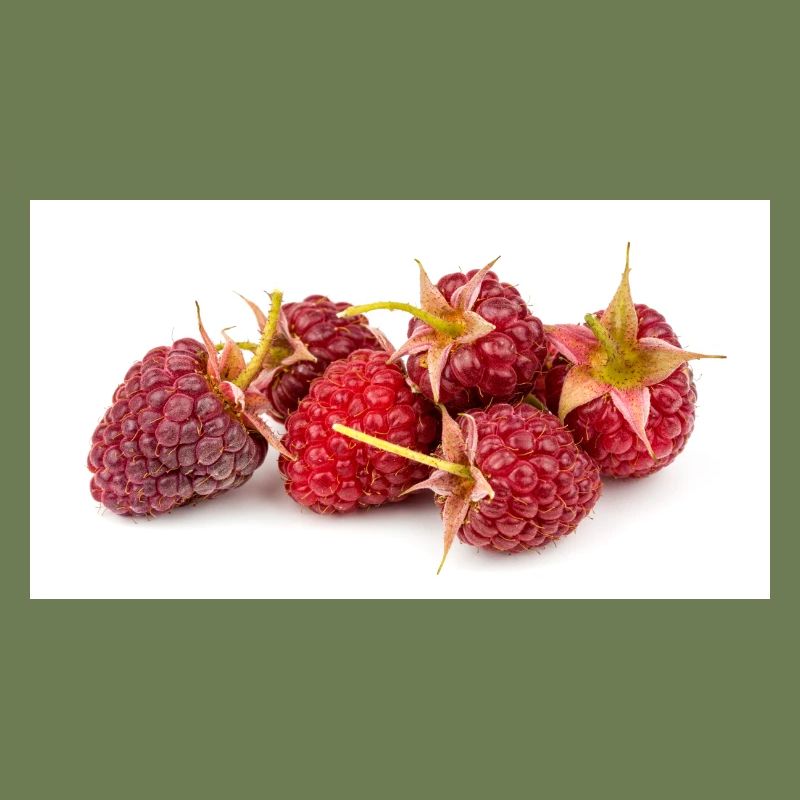 Himbeere. raspberry