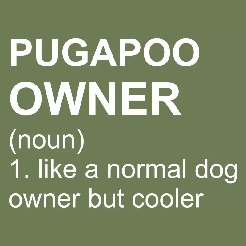 Pugapoo Owner I Pudel Mops Mix