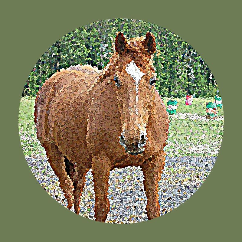 Die Liebe einer Stute