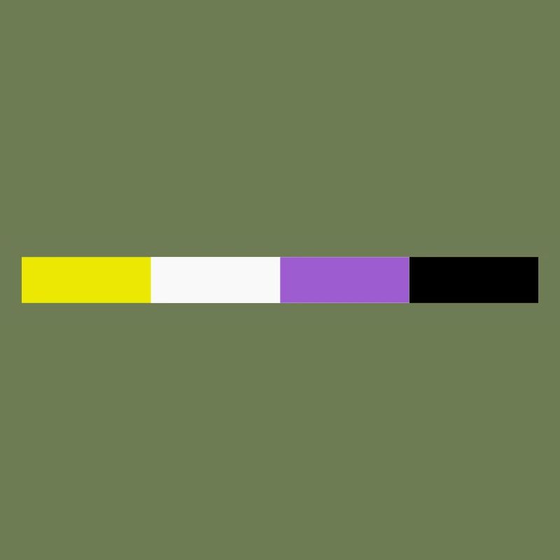Discreet non-binary flag.