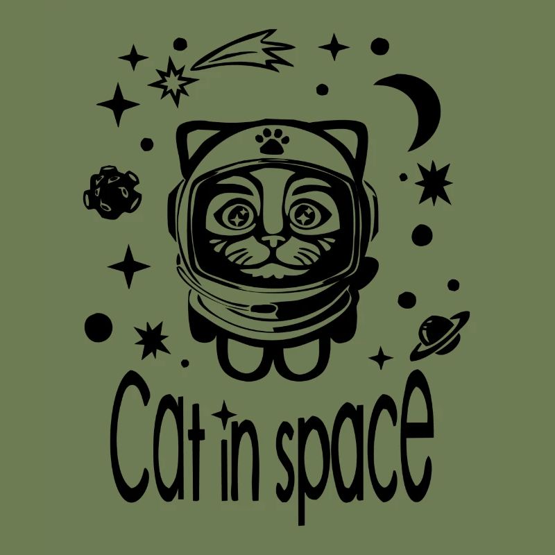 Chat dans l’espace
