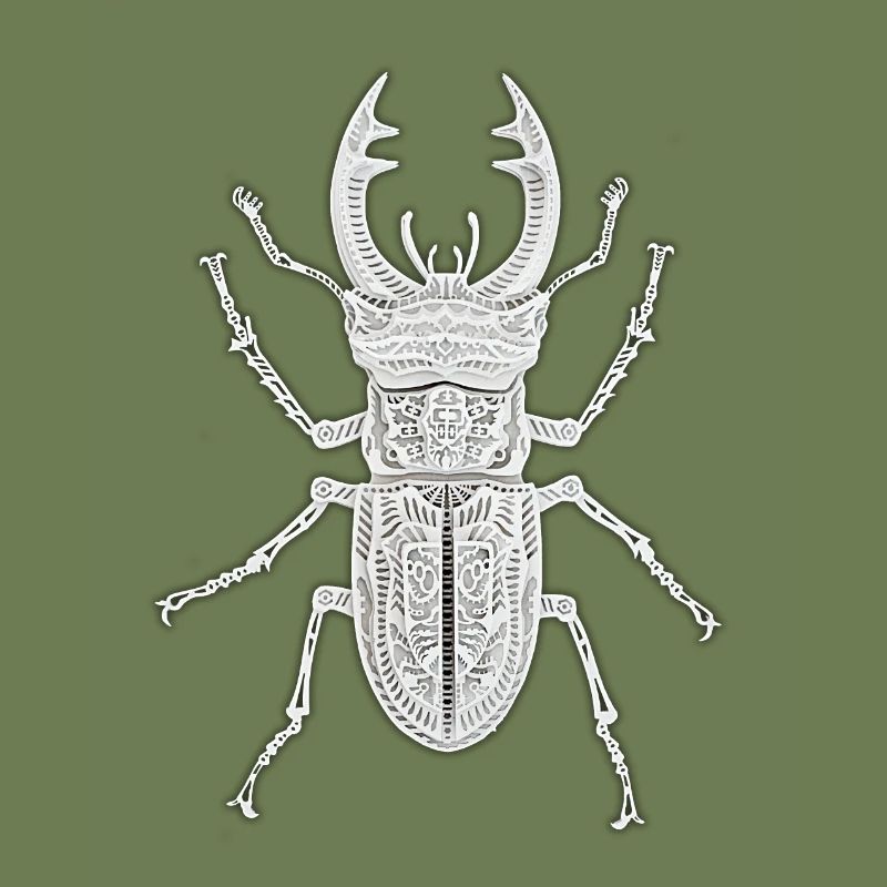 Stag beetle