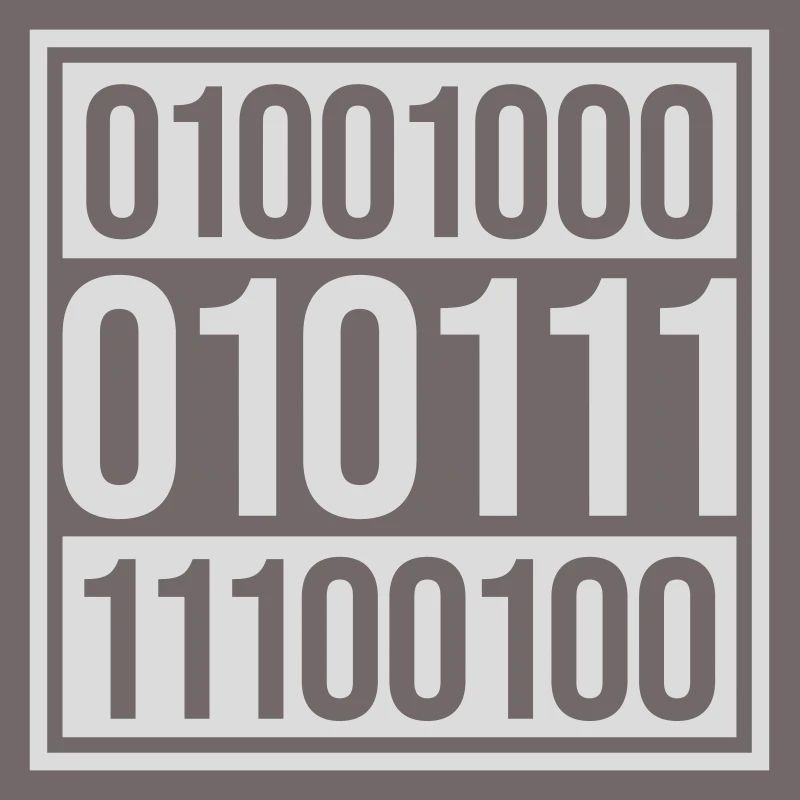 Binär Code Programm Sprache