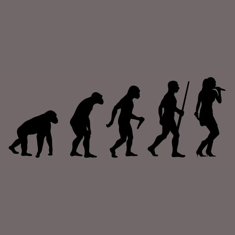 L'évolution du chanteur