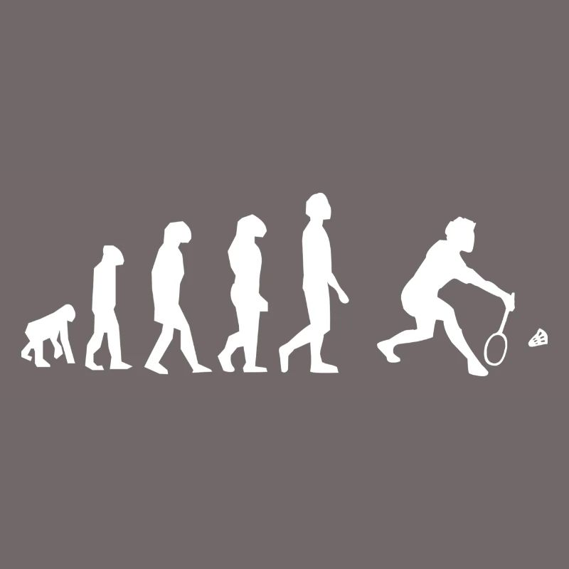Badminton évolution