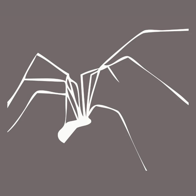 Araignée araignée araignée jambes de peur net de Noël