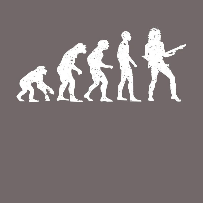 EVOLUTION GUITARIST!