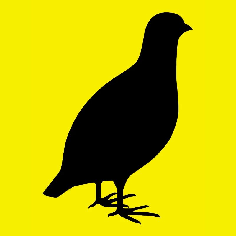 Perdrix