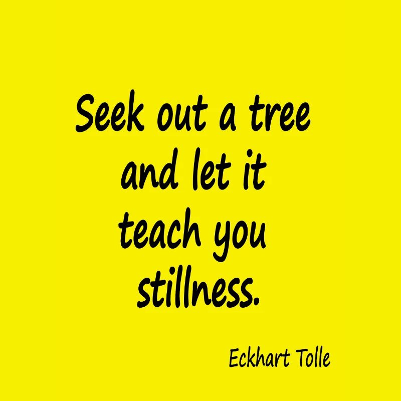 Tree for Stillness