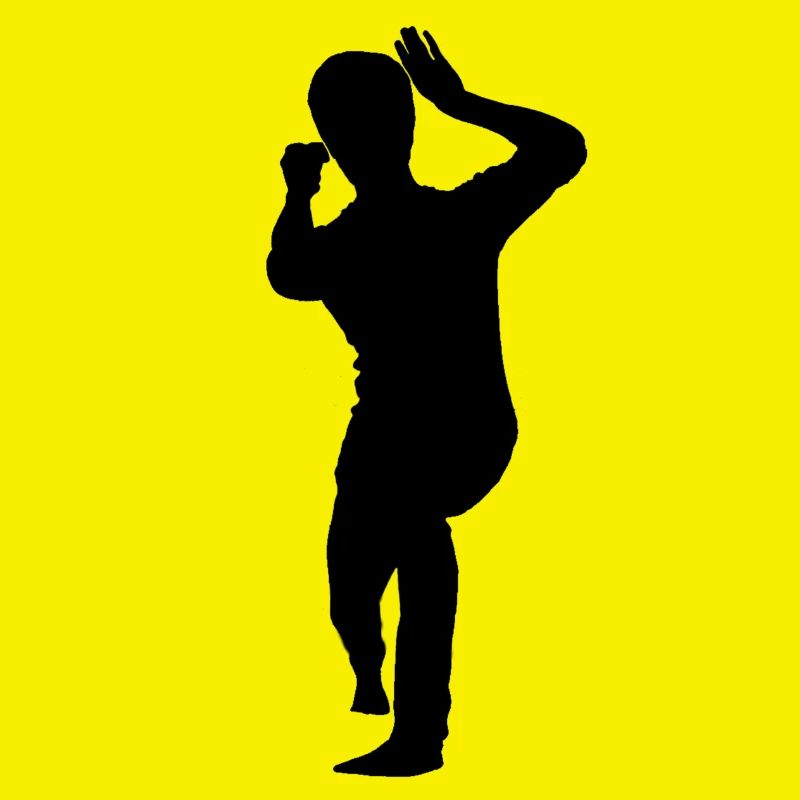Bruce Lee Shadow Biu Da
