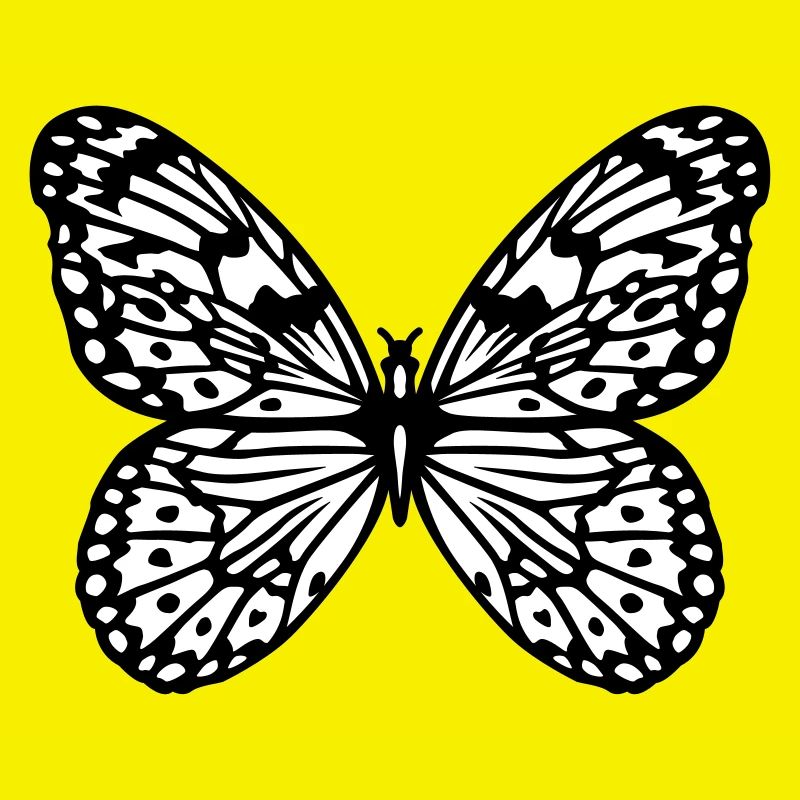 Papillon