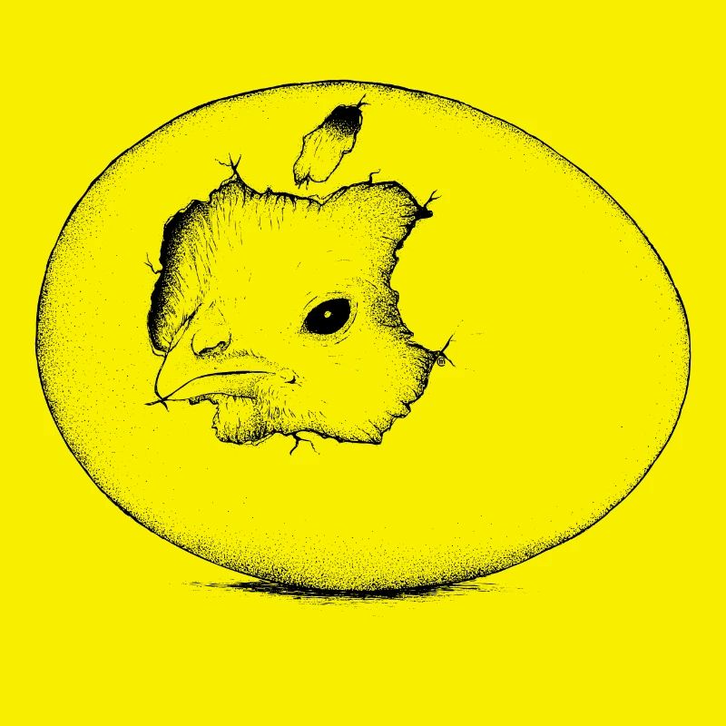 Kücken