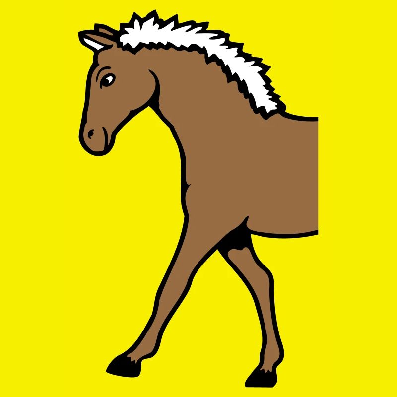 Half Horse Front Part Front Half Front Goes