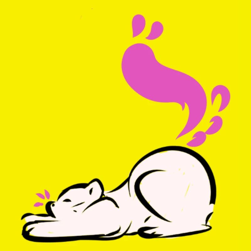 Étirement de chat
