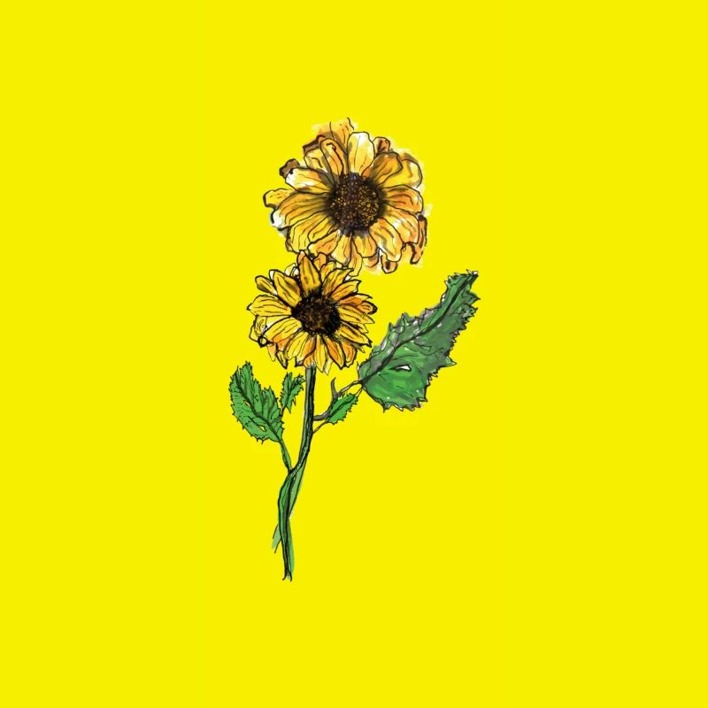Sonnenblume