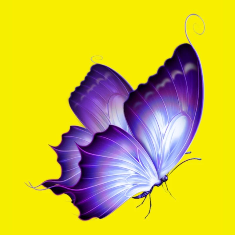 Papillon