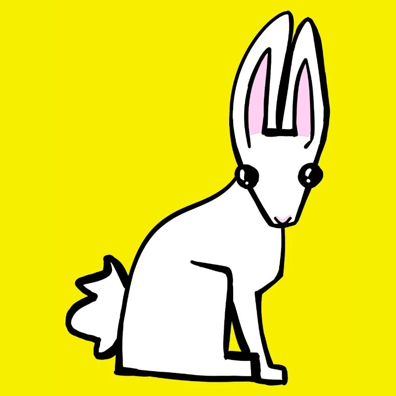 Lapin blanc