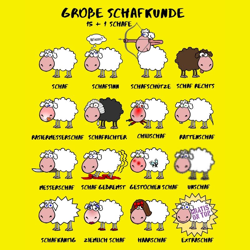 Great sheep knowledge