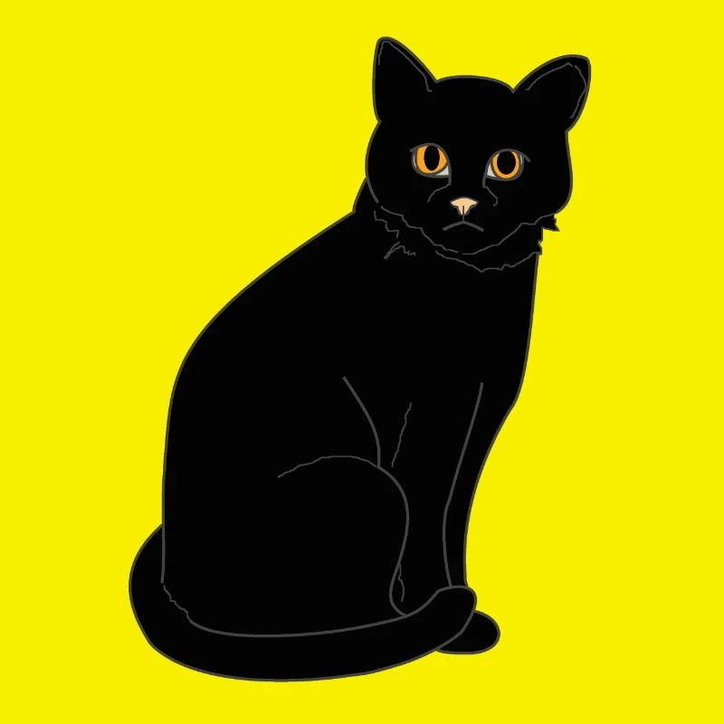 Gatto nero