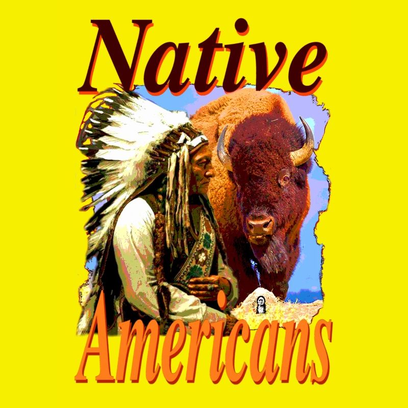 Native Americans 3
