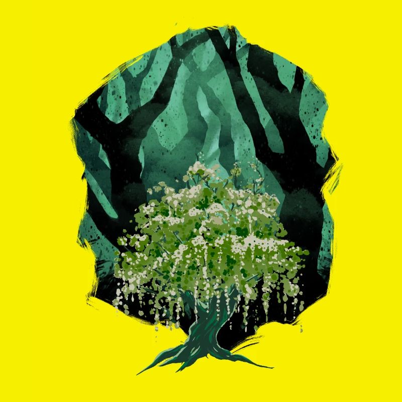 Forêt, Nature, Botanique, Flore