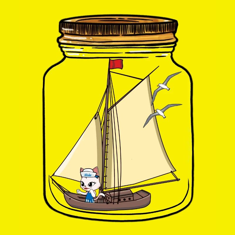 Voilier Navigation Message Dans Une Bouteille Salutations Chat