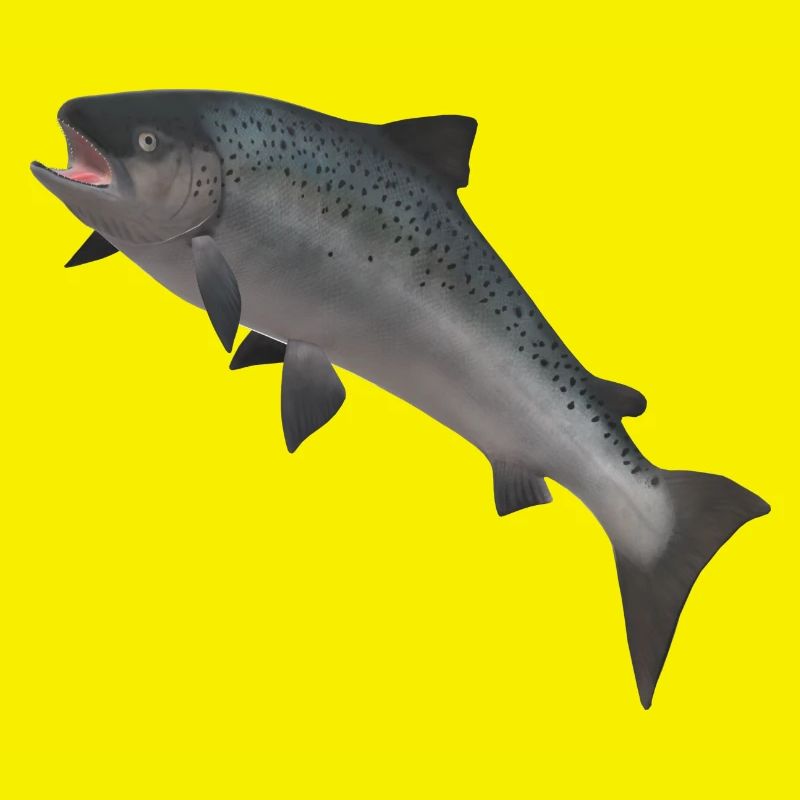 Saumon sauvage 3D