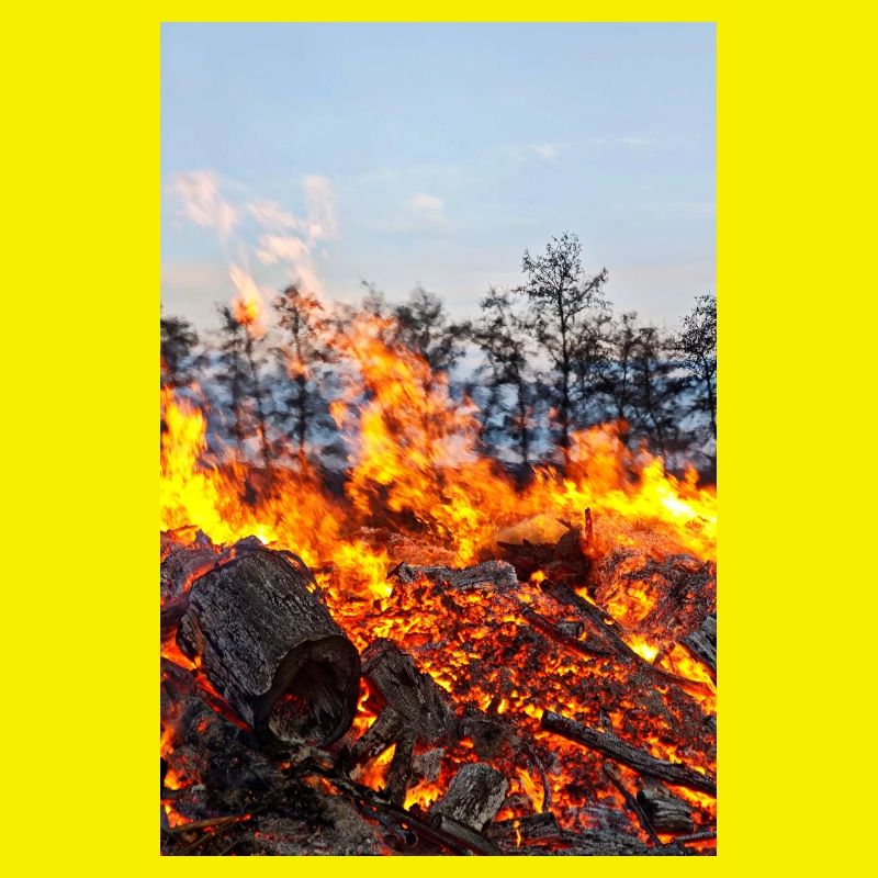 Affiche avec motif de feu de Pâques de Flame Inferno