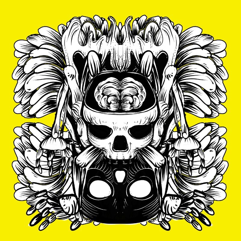 Skull and Brain