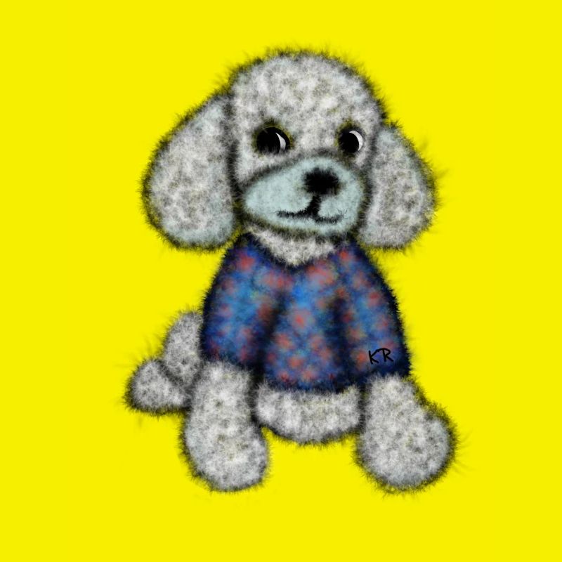 Pudelhund mit Pullover